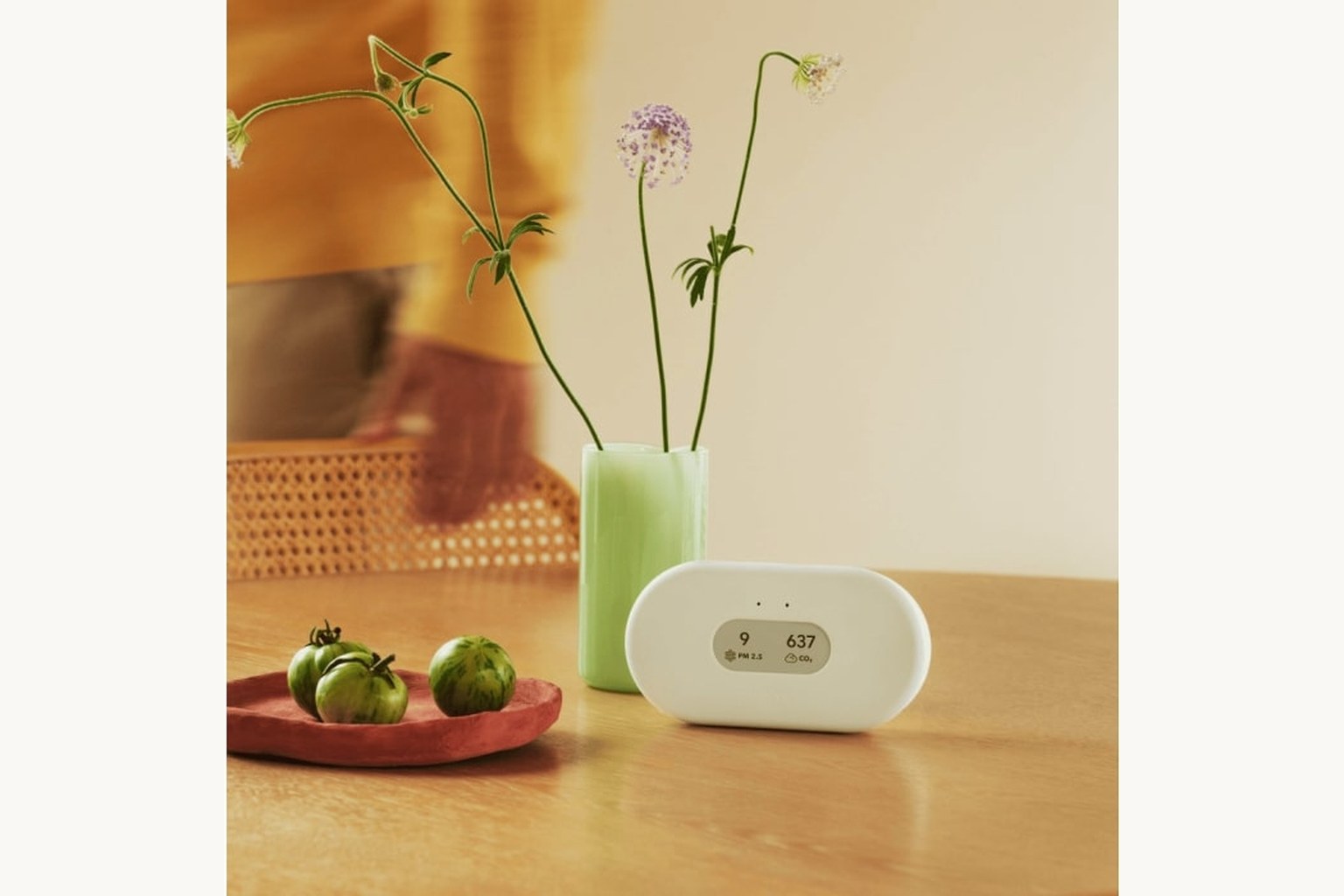 Airthings View Plus 2960 white rectangular air quality monitor with front display.