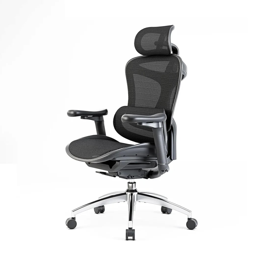 Sihoo Doro C300 ergonomic office chair, front three-quarter product view
