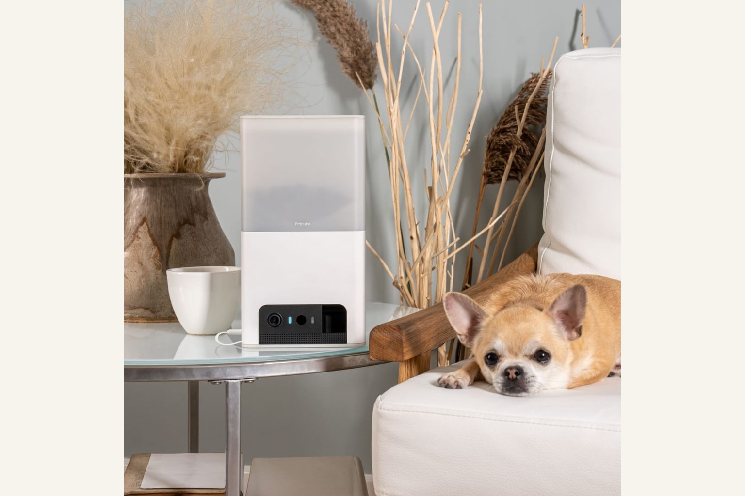 Petcube Bites 2 Lite product image